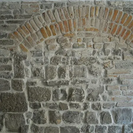Olga's House 3*